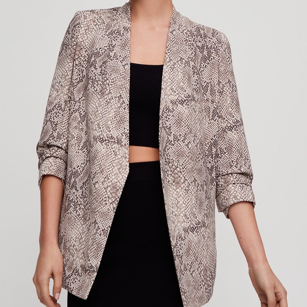 Babaton Macauley Blazer Aritzia